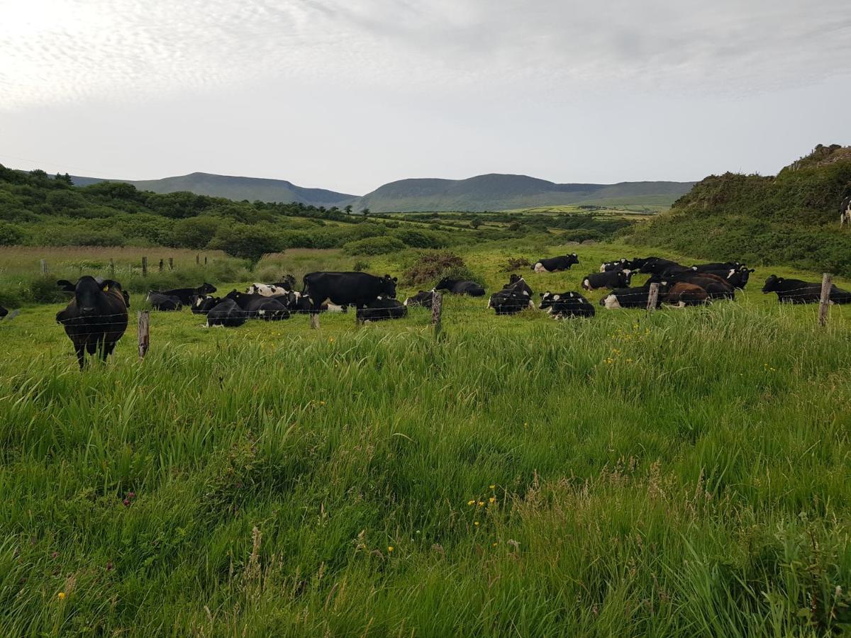Traditional Irish Farmhouse Anascaul Esterno foto